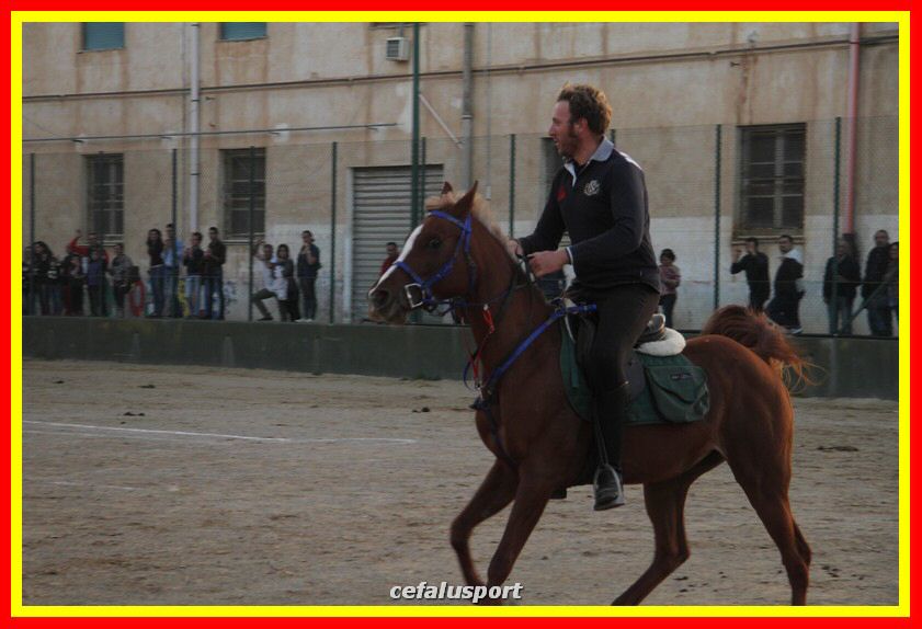 161106 equestre 091_tn.jpg